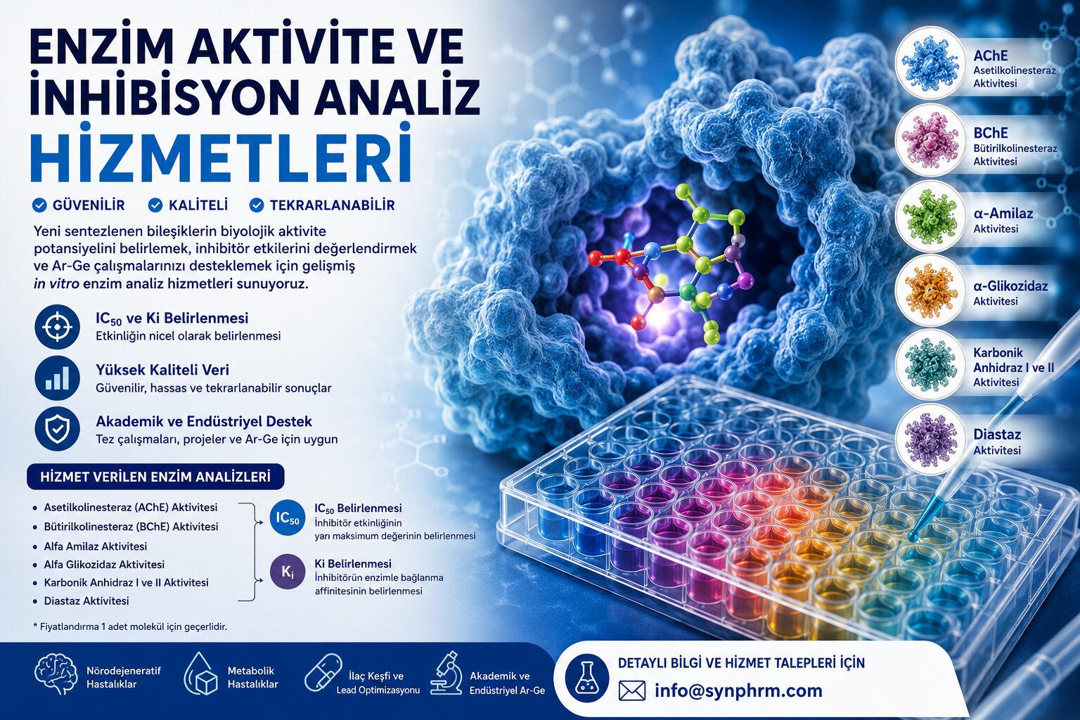 Enzim Aktivite ve İnhibisyon Analiz Hizmetleri